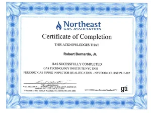 Gas Inspector Certificate New York County New York